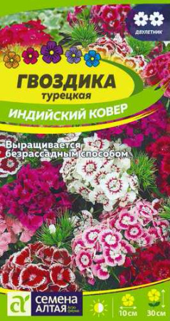 Гвоздика Индийский Ковёр турецкая купить
