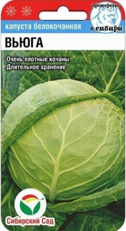 Капуста Вьюга купить