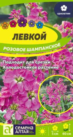 Левкой Розовое Шампанское  купить