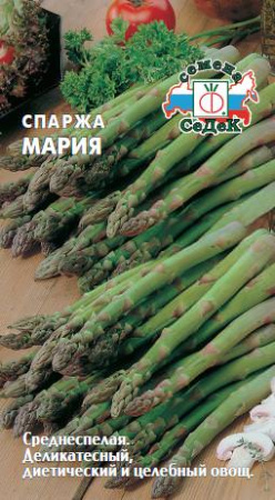 Спаржа Мария  купить