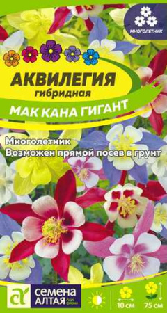 Аквилегия Маккана Гигант  купить