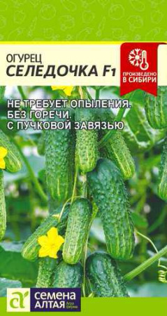 Огурец Селедочка F1 купить