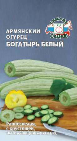 Дыня Богатырь Белая (армянский огурец)  купить