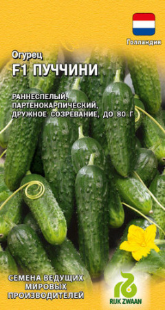 Огурец Пуччини F1 (Голландия) купить