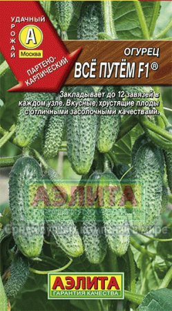 Огурец Все путем F1 купить