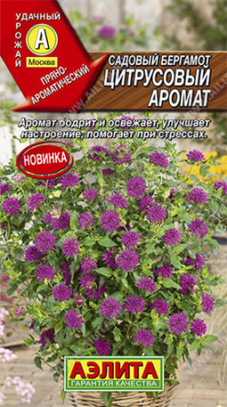 Бергамот Цитрусовый аромат садовый  купить