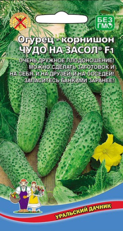 Огурец Чудо на засол F1  купить
