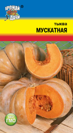 Тыква Мускатная  купить