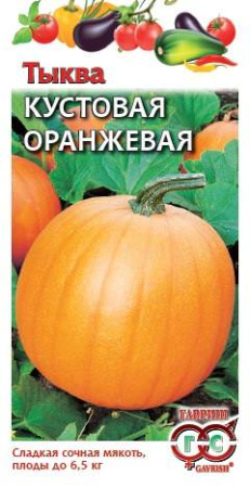 Тыква Кустовая оранж.  купить