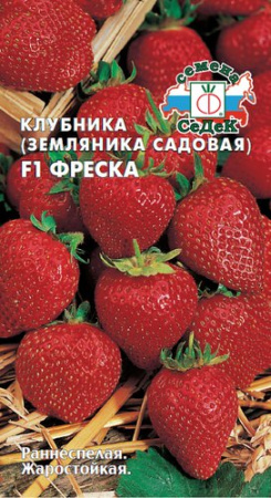 Земляника Фреска F1 купить