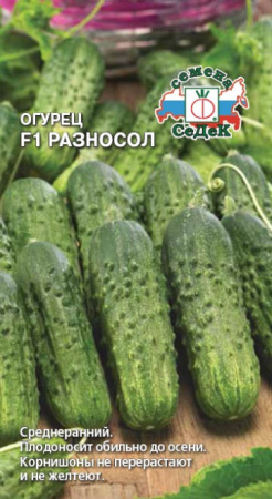 Огурец Разносол F1 купить