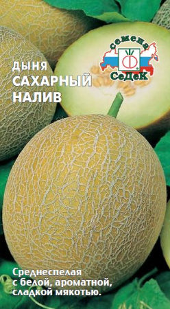 Дыня Сахарный налив  купить