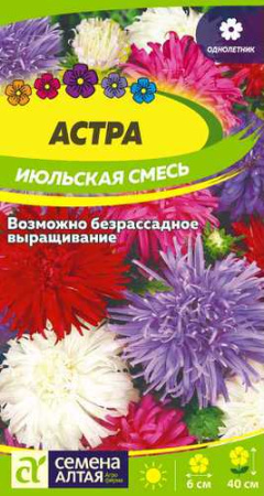Астра Июльская Смесь купить
