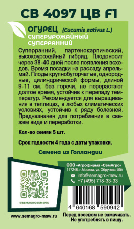 Огурец СВ 4097 ЦВ F1  купить