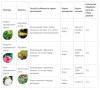 Бактофит 40г купить