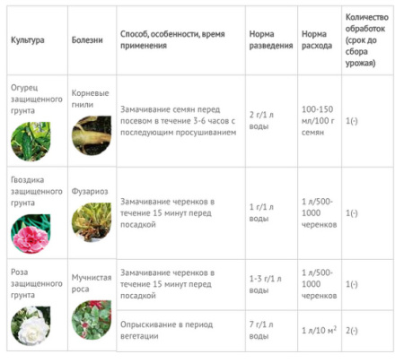 Бактофит 40г купить