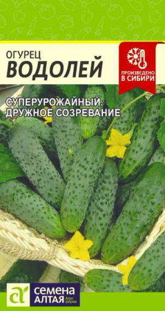 Огурец Водолей  купить