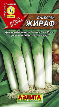 Лук (порей) Жираф  купить