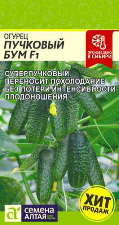 Огурец Пучковый Бум F1  купить