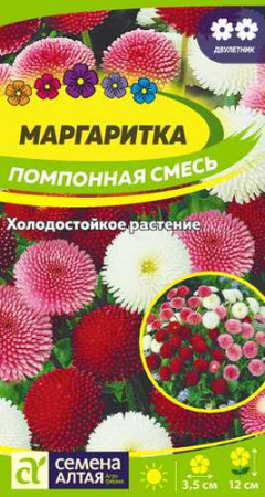 Маргаритка Помпонная смесь  купить
