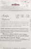 Астра Версаль/1шт купить