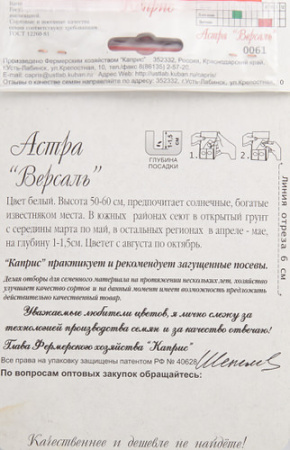 Астра Версаль/1шт купить
