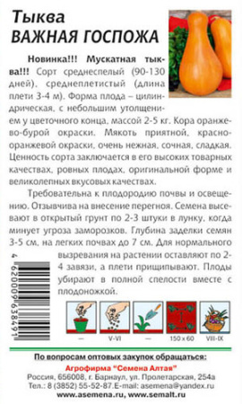 Тыква Важная госпожа  купить
