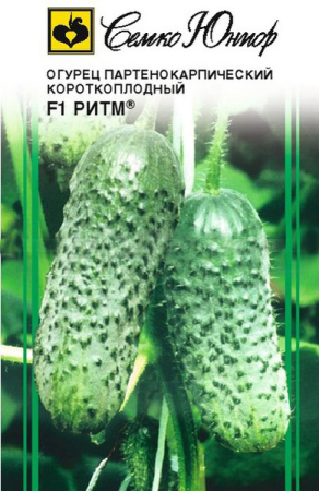 Огурец Ритм (Гуннар) F1 купить