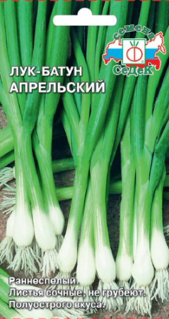 Лук Апрельский, батун купить