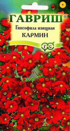 Гипсофила изящная Кармин   купить