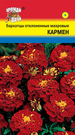 Бархатцы Кармен низкорослые откл. махр. купить