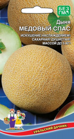 Дыня Медовый Спас  купить