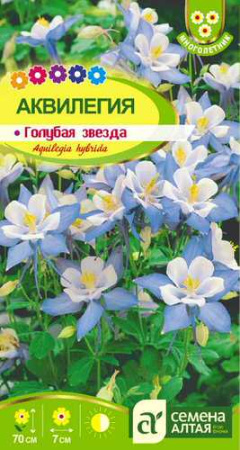Аквилегия Голубая Звезда гибридная  купить