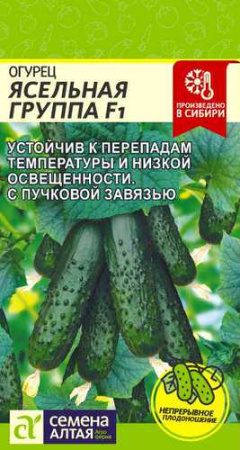 Огурец Ясельная Группа  F1  купить