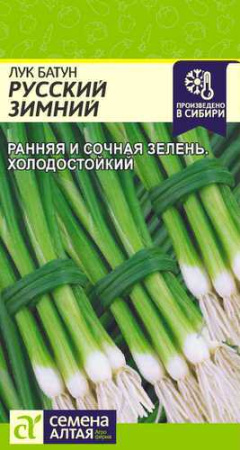 Лук (батун) Русский Зимний  купить