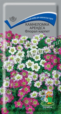 Камнеломка Арендса Флорал карпет купить