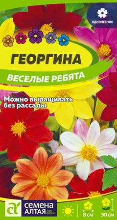 Георгина Веселые Ребята купить