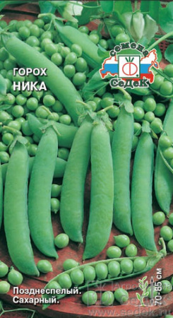 Горох Ника  купить