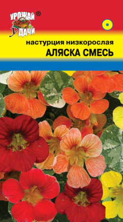 Настурция Аляска смесь низкор.  купить