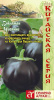 Баклажан Чисанчи Китайская серия! купить