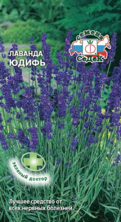 Лаванда Юдифь  купить
