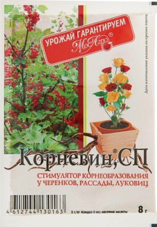 Корневин 8г купить