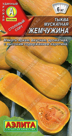 Тыква Жемчужина мускатная  купить