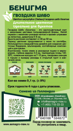 Гвоздика Шабо Бенигма cадовая купить