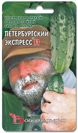 Огурец Петербургский Экспресс F1 купить