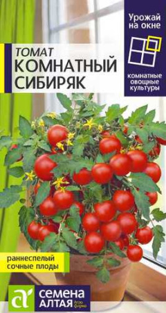 Томат Комнатный Сибиряк купить
