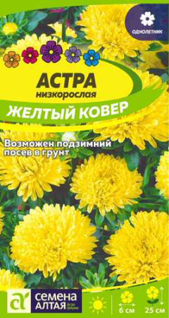 Астра Ковер Желтый низкорослая купить